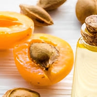 Apricot Kernel Carrier Oil (Prunus armeniaca)