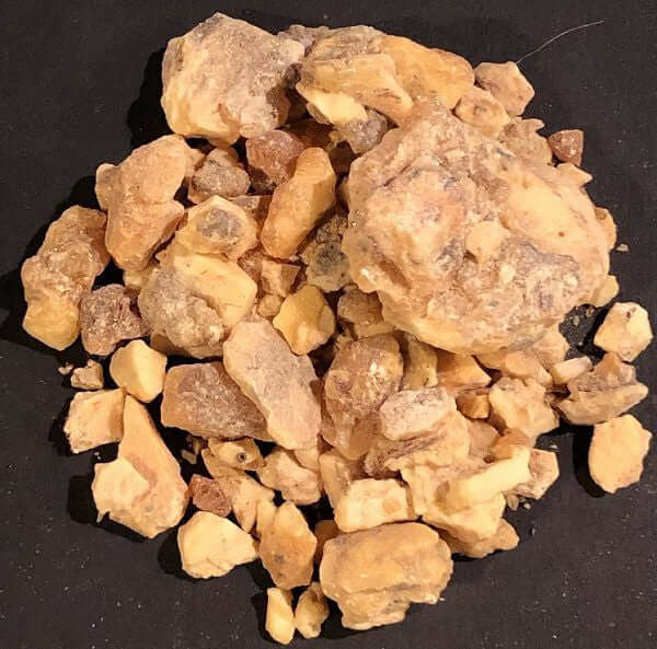 Benzoin Resin Oil, Indian (Styrax benzoin) | Ki Aroma