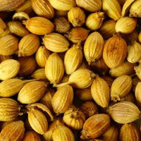 Coriander Seeds l Cosmetic and Soap Additives | Ki Aroma