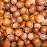 Hazelnut Carrier Oil (Corylus avellana) | Ki Aroma