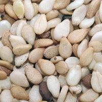 Sesame Carrier Oil (Sesamum indicum oil) | Ki Aroma