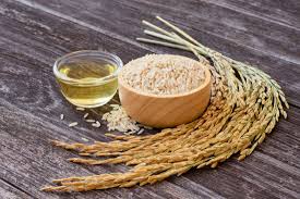 Rice Bran Carrier Oil (Oryza sativa oil)