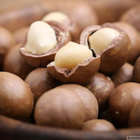 Macadamia Carrier Oil (Macadamia integrifolia) | Ki Aroma