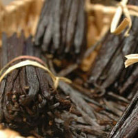 Vanilla Absolute Oil (Vanilla planifolia) | Ki Aroma