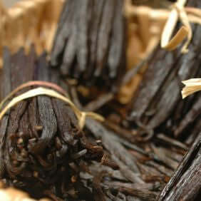 Vanilla Absolute Oil (Vanilla planifolia) | Ki Aroma